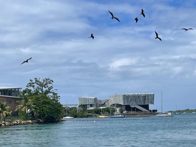 La Canopee Enchantee, Chambres D'Hotes, Piscine, Proche Aeroport, Gare Maritime Les Abymes Eksteriør billede